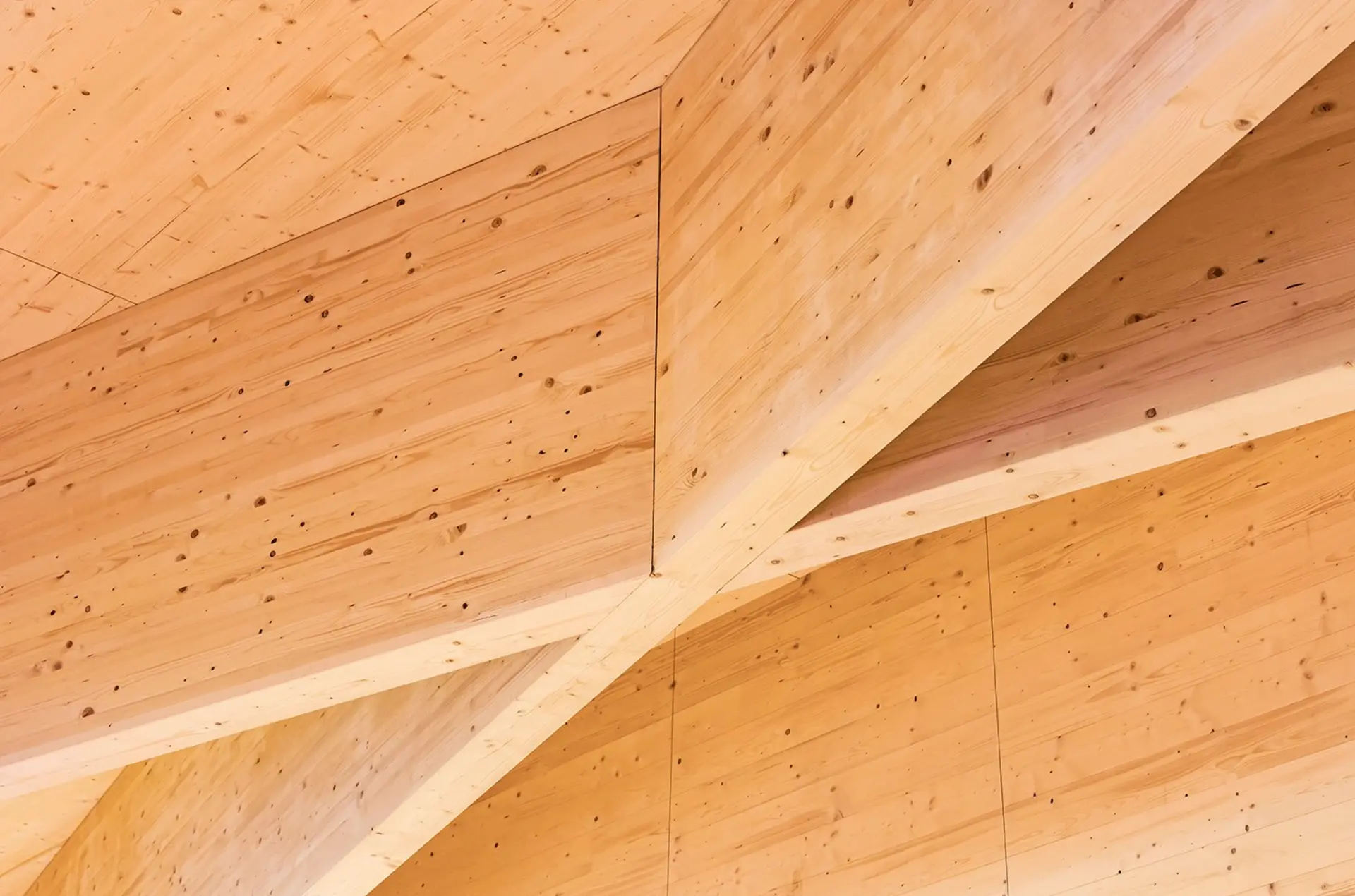 Neubau / Holzhochbau von ATC Holzbau