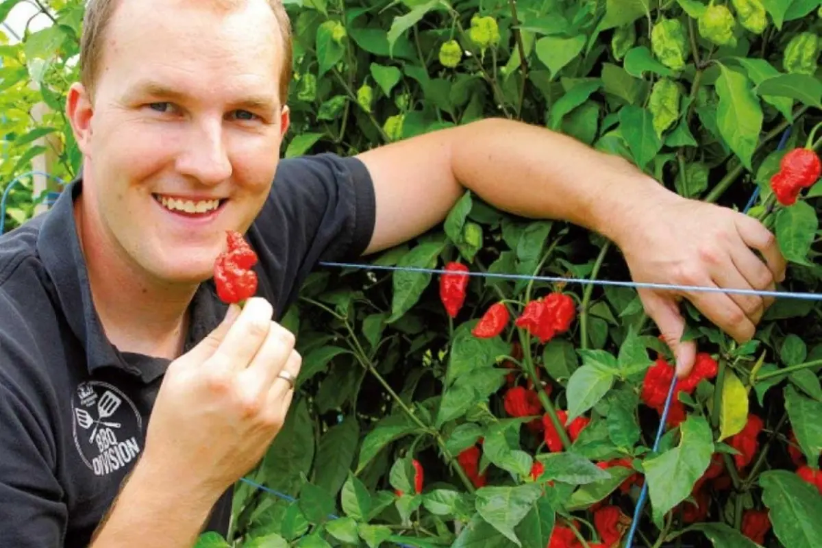 Foto Richard Fohringer